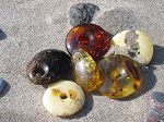 Donuts ( anneau )